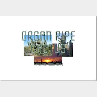 Organ Pipe Cactus National Monument Posters and Art